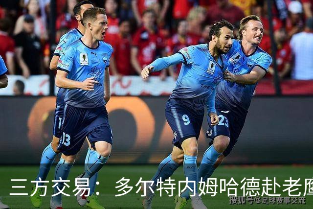 三方交易：多尔特内姆哈德赴老鹰 雷霆获3次轮签 独行侠获里萨谢