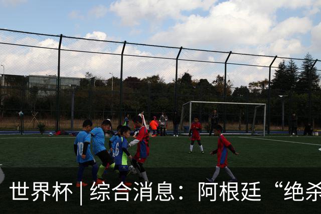世界杯 | 综合消息：阿根廷“绝杀”埃及 瑞士险胜哥伦比亚