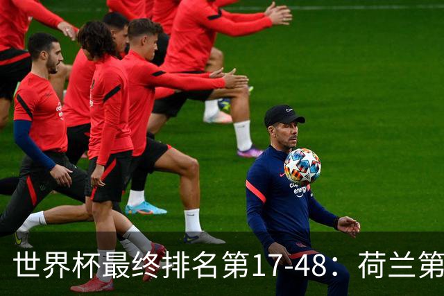 世界杯最终排名第17-48：荷兰第17德国第18 日本第21