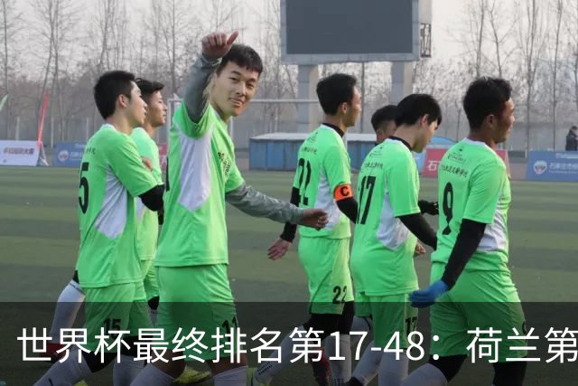 世界杯最终排名第17-48：荷兰第17德国第18 日本第21