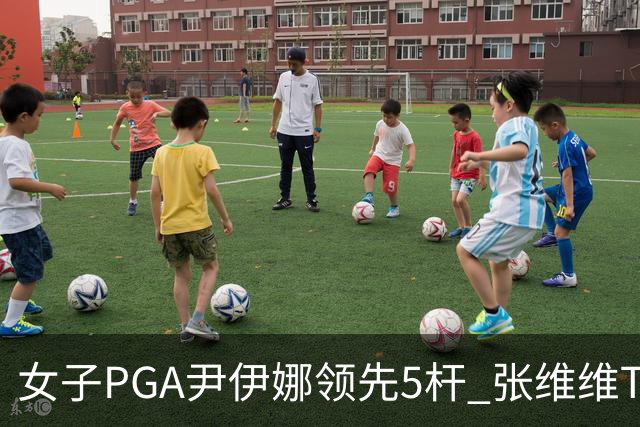 女子PGA尹伊娜领先5杆 张维维T8殷若宁刘艳晋级