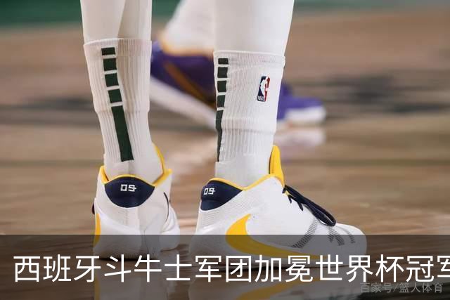 西班牙斗牛士军团加冕世界杯冠军！传控美学登顶世界之巅！